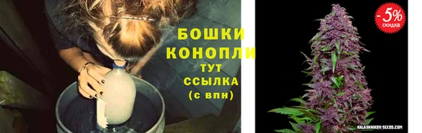 ECSTASY Михайловка