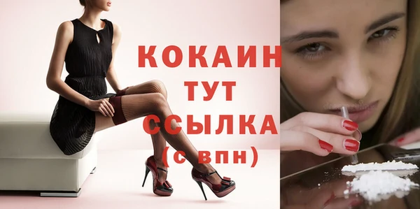 прущие крисы Надым