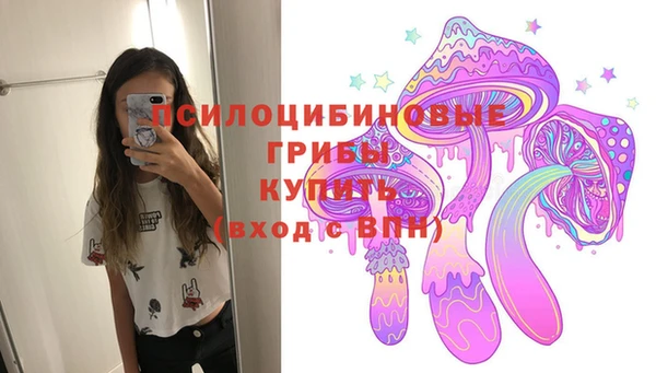 ECSTASY Михайловка