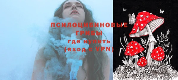 ECSTASY Михайловка